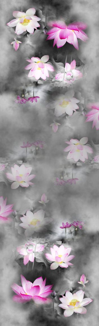 1007673-20180115-1143