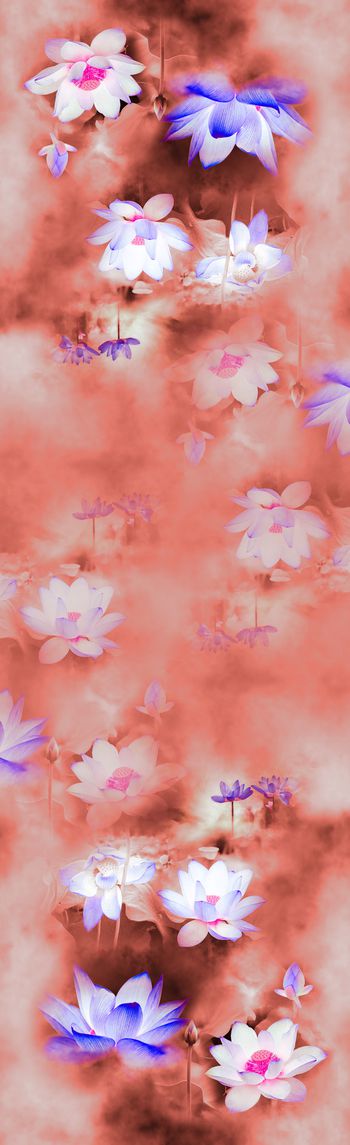 1007674-20180115-1143--1