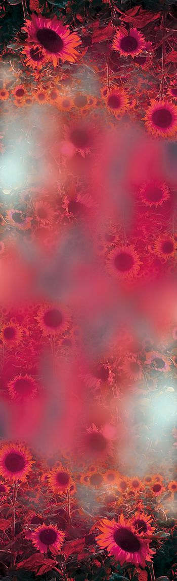 1007840-20180115-1156-1