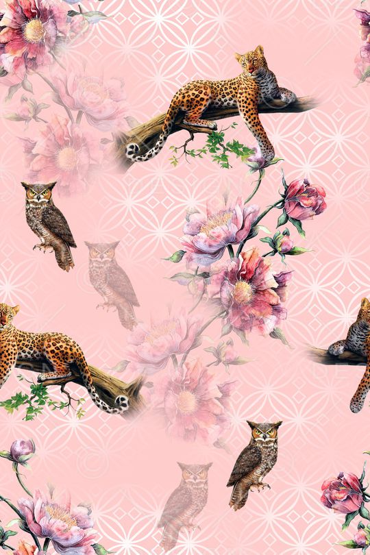 猫头鹰印花华亿平台图片