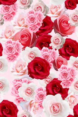 少女印花华亿平台图片