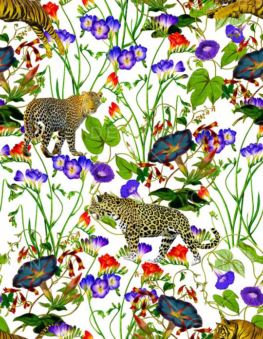 牵牛花印花华亿平台图片