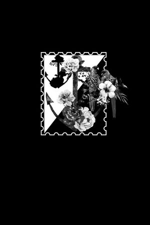 趣味印花华亿平台图片