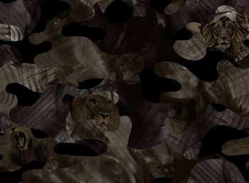 黑白华亿平台印花华亿平台图片