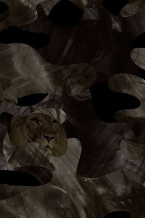 黑白华亿平台印花华亿平台图片