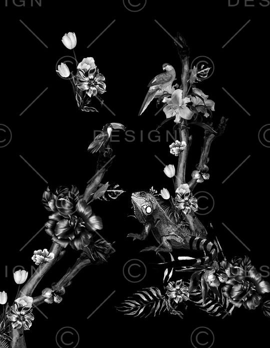 动物花卉印花华亿平台图片