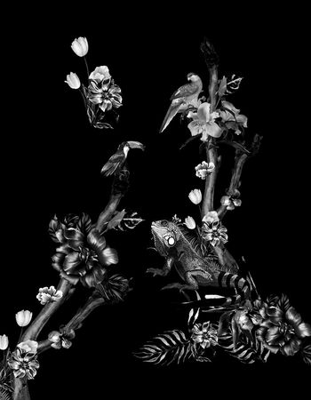 动物花卉印花华亿平台图片