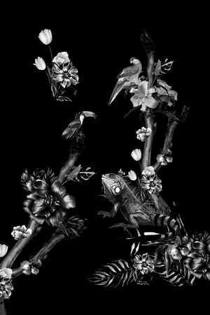 动物花卉印花华亿平台图片