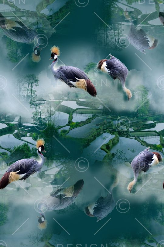 数码华亿平台印花华亿平台图片