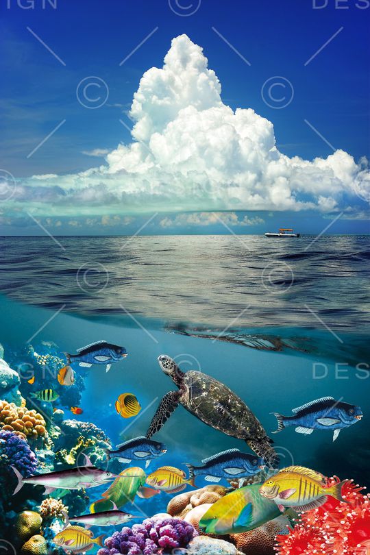 自然风光印花华亿平台图片