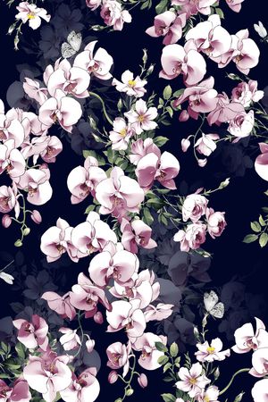 蝴蝶兰印花华亿平台图片