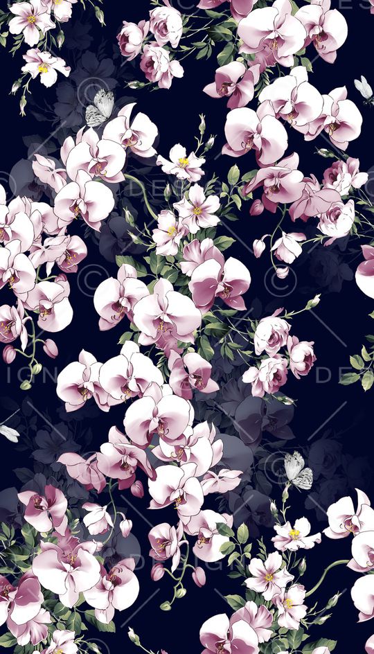 蝴蝶兰印花华亿平台图片