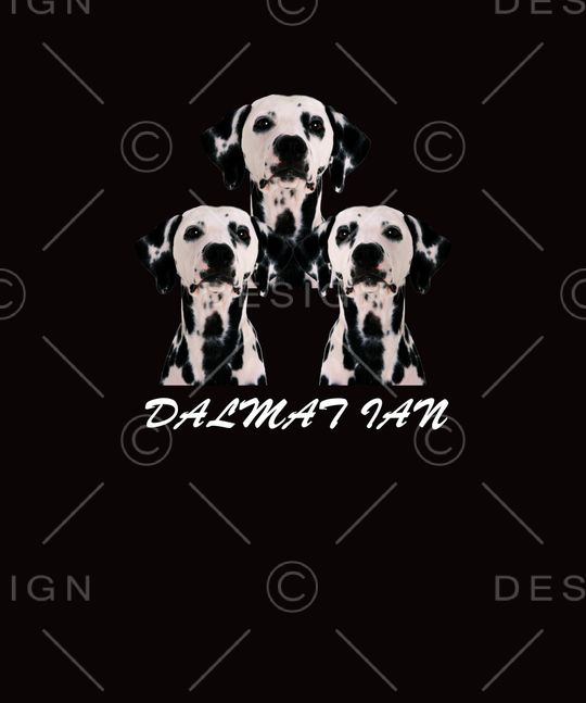 狗狗系列印花华亿平台图片