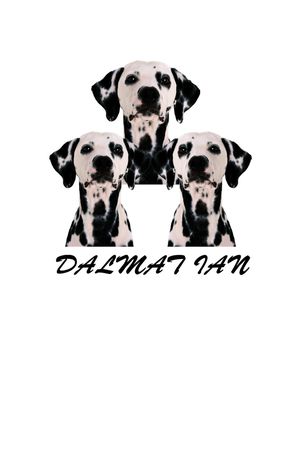 狗狗系列印花华亿平台图片