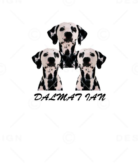 狗狗系列印花华亿平台图片