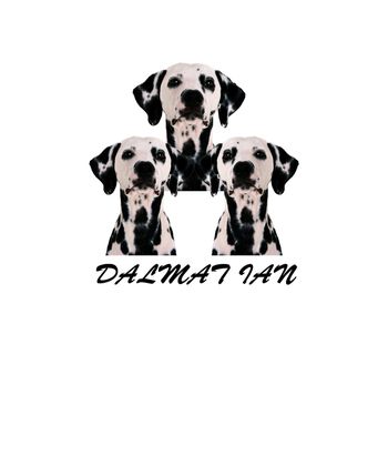 狗狗系列印花华亿平台图片