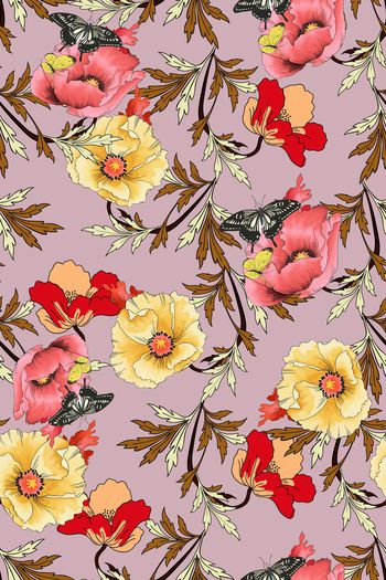 1010228-蝴蝶花卉 180159