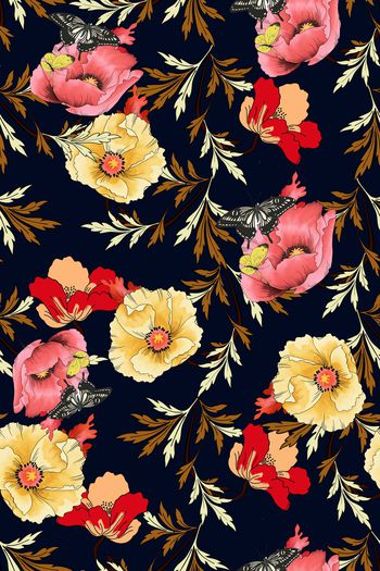 1010231-蝴蝶花卉 180159c