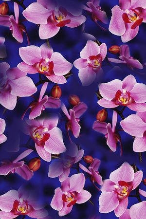 大花印花华亿平台图片