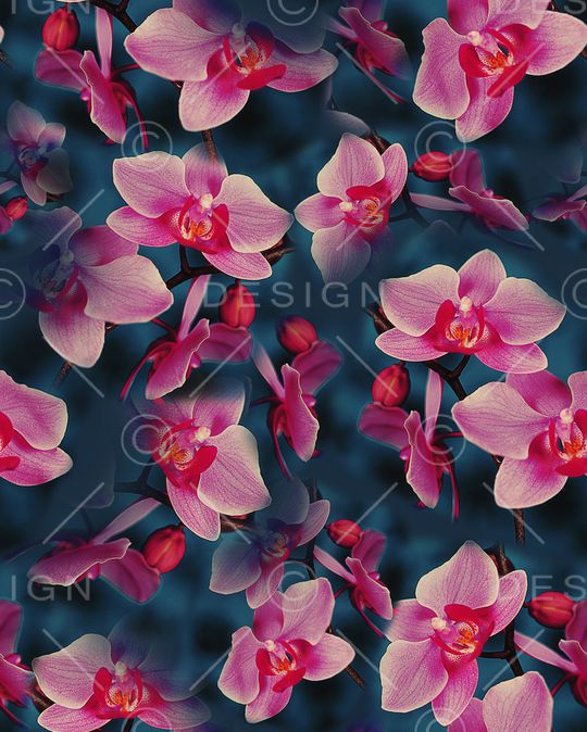 大花印花华亿平台图片