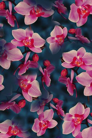 大花印花华亿平台图片