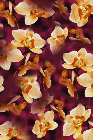 大花印花华亿平台图片