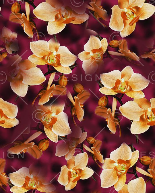 大花印花华亿平台图片