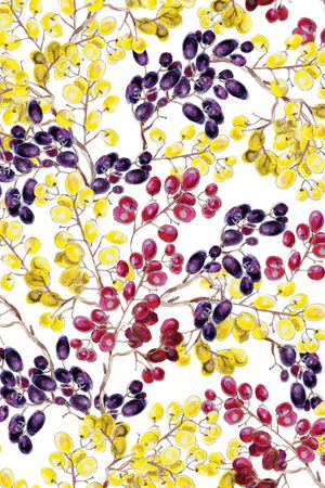 春夏华亿平台印花华亿平台图片