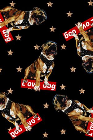 动物花卉印花华亿平台图片