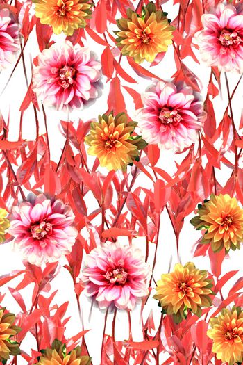 1011178-美丽的花卉1