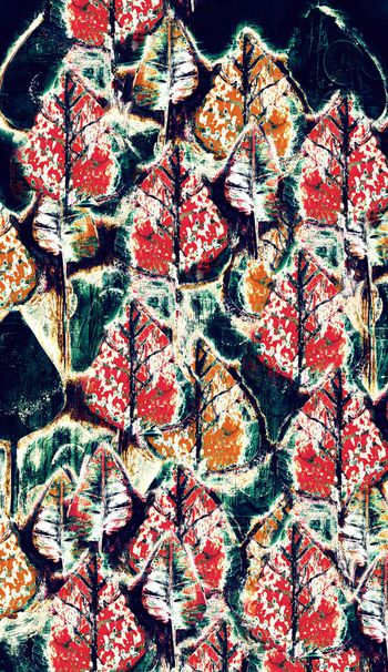 1011179-fhfghbvnvbn-1