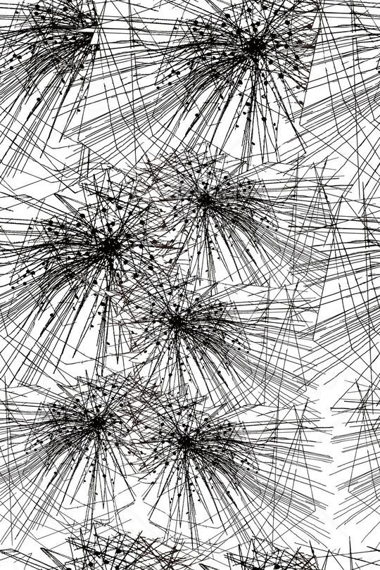 线条花卉印花华亿平台图片