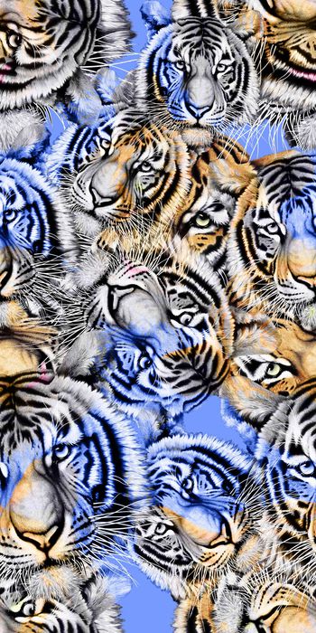 蓝色印花华亿平台图片