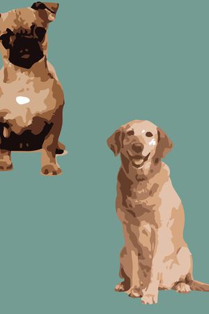 可爱印花华亿平台图片