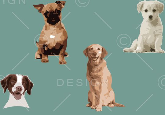 可爱印花华亿平台图片