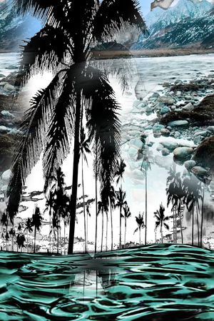 椰子树印花华亿平台图片