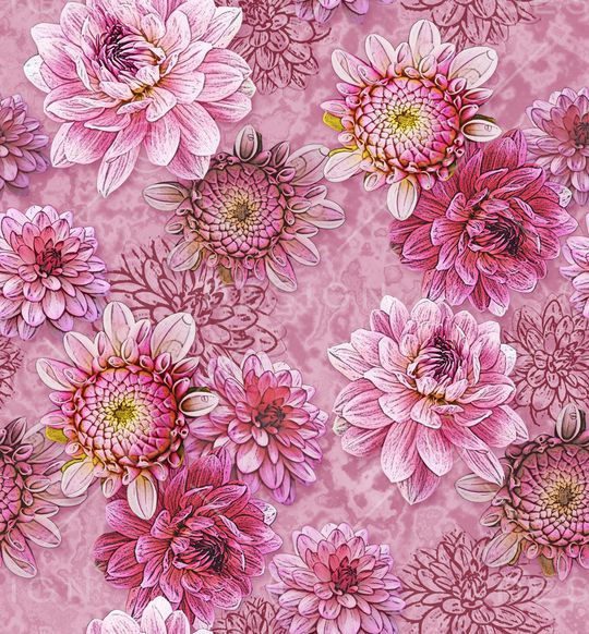 春夏华亿平台印花华亿平台图片