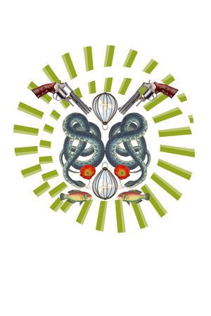 蛇印花华亿平台图片