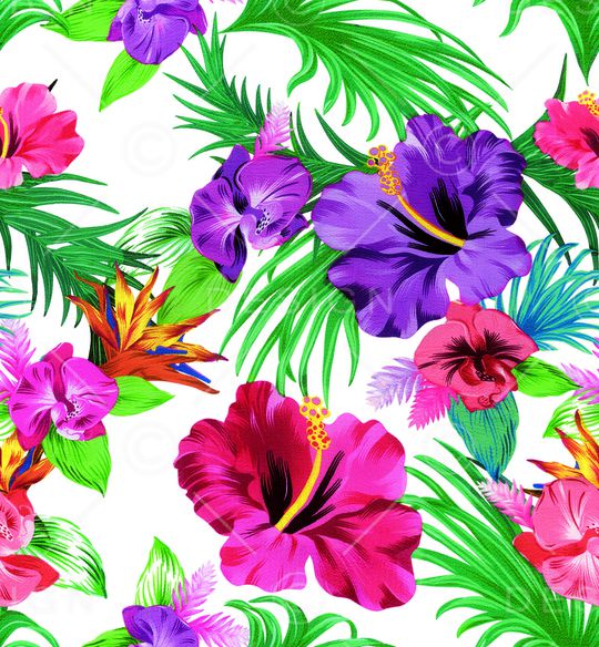 风格化花卉印花华亿平台图片