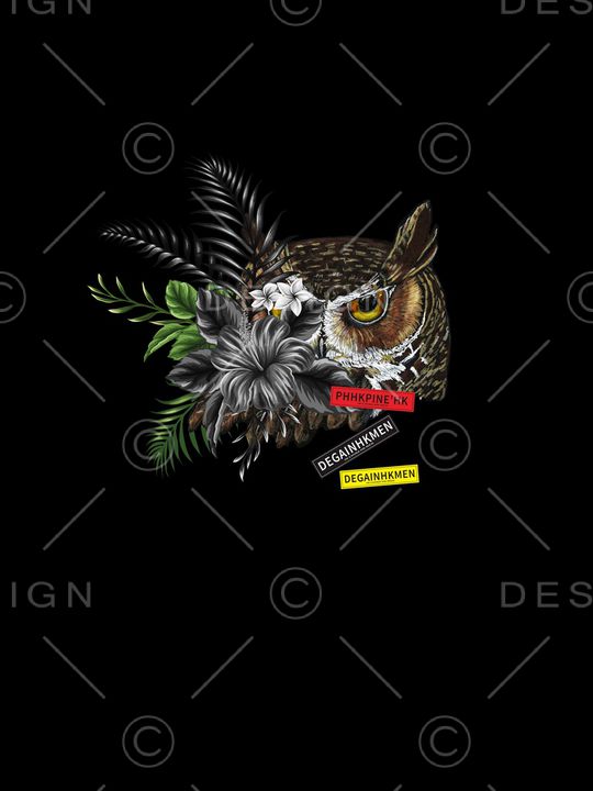 猫头鹰印花华亿平台图片