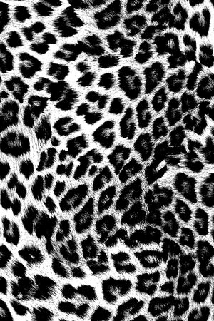 黑白华亿平台印花华亿平台图片