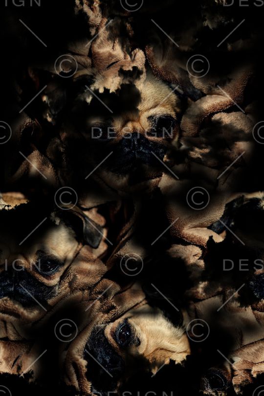 男装印花华亿平台图片