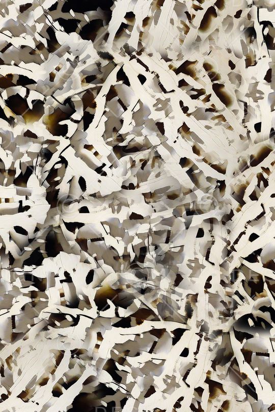 肌理印花华亿平台图片