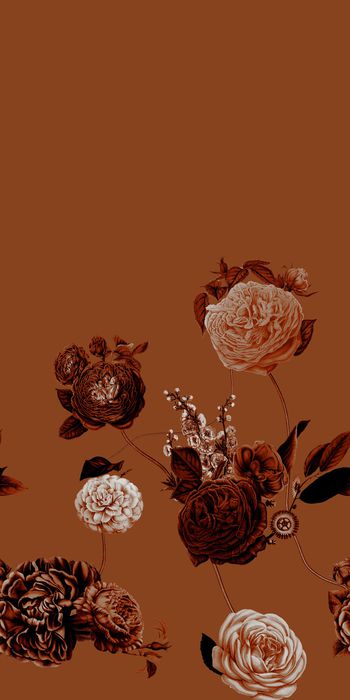 1013353-tzz0417分层