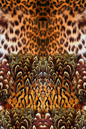 羽毛印花华亿平台图片