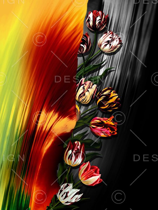 郁金香印花华亿平台图片