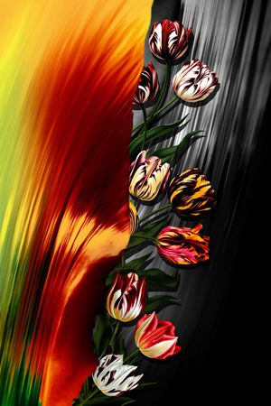 郁金香印花华亿平台图片