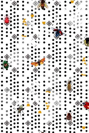 昆虫印花华亿平台图片