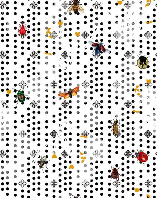 昆虫印花华亿平台图片