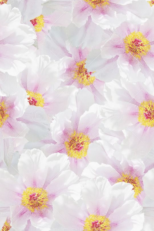 女装印花华亿平台图片